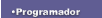Programador