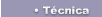 Tecnica